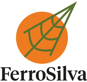 FerroSilva logo